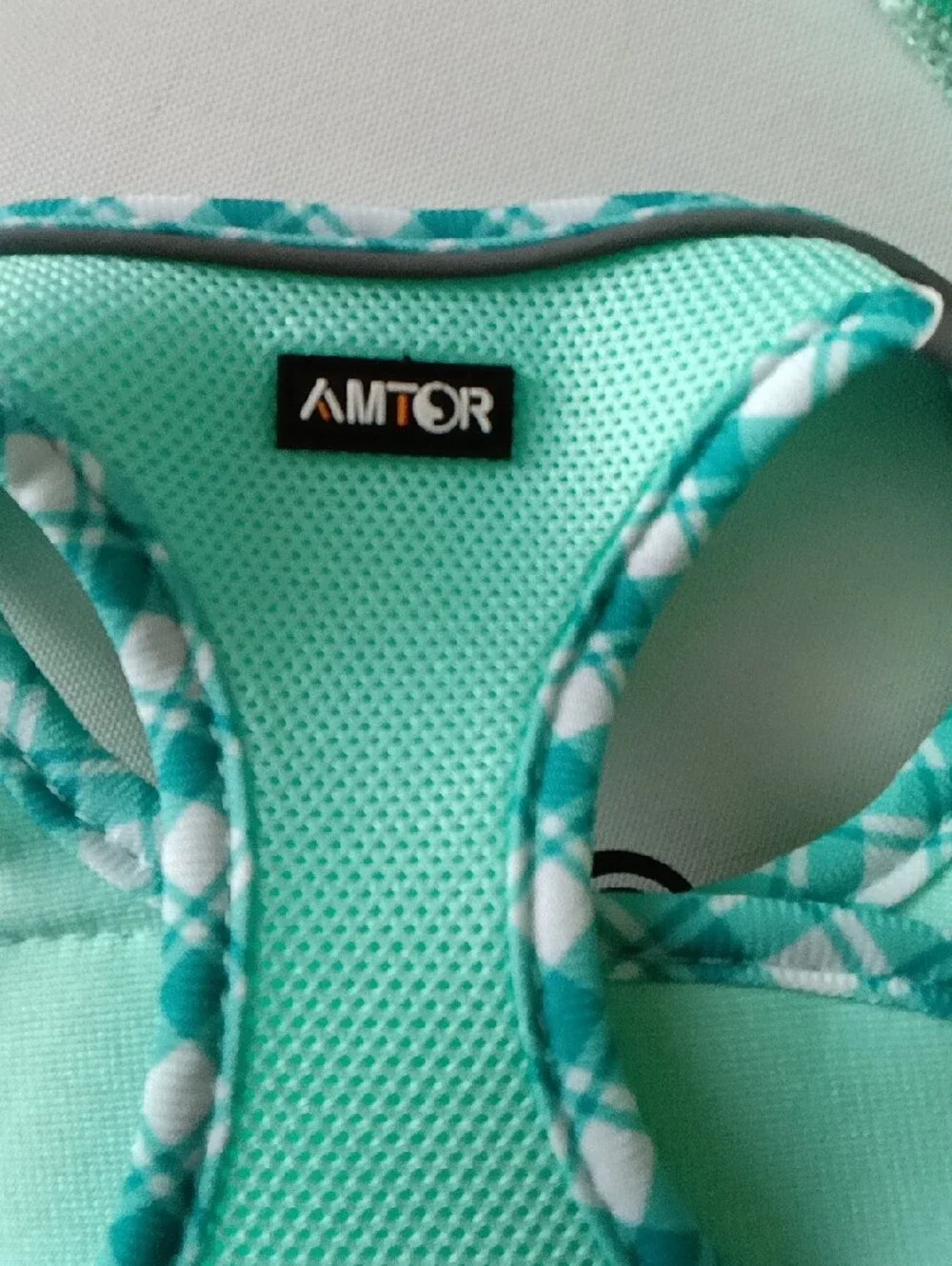 AMTOR Mint Green Dog Harness & Leash Set